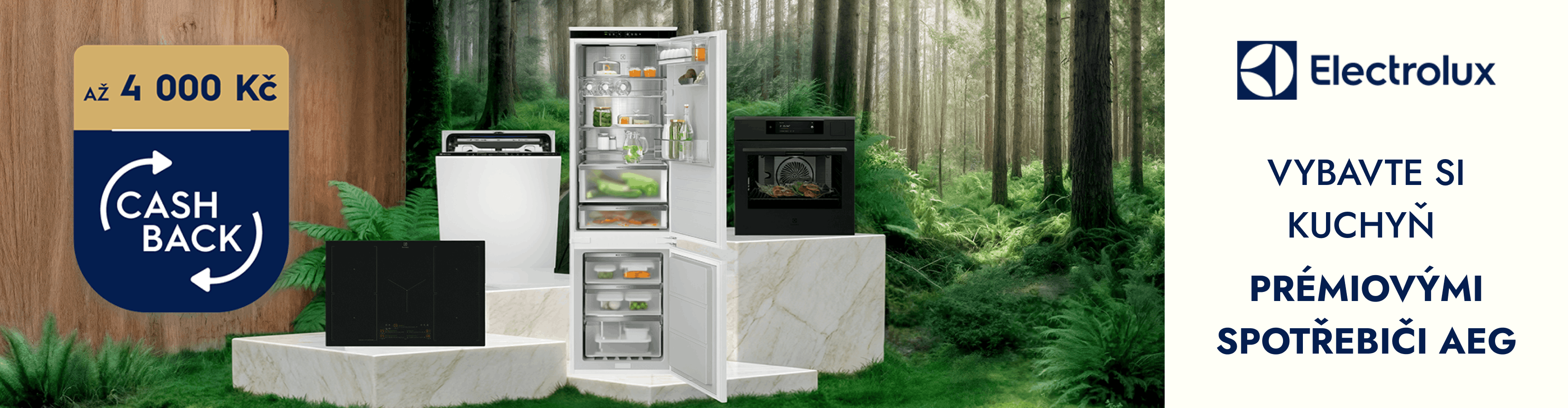 Electrolux-banner (1)
